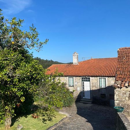 Willa Casa Do Carqueijo Vila Praia de Âncora Zewnętrze zdjęcie